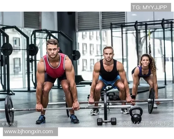 自由泳健身训练攻略提高耐力与技巧打造完美体型的科学方法