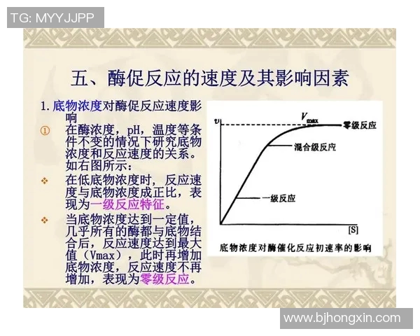 CSGO战术分析：RNG战队在比赛中速度与反应的关键影响探讨