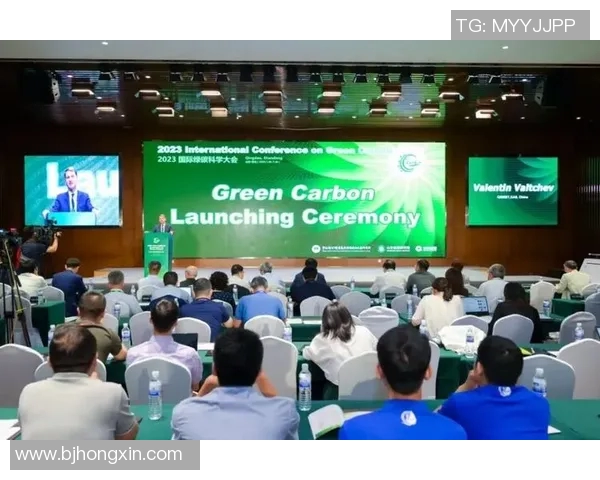 上海飞盘队运营模式创新探索与发展路径分析 上海飞盘队运营模式创新探索与发展路径分析