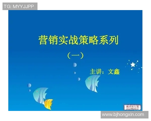 南京排球队的团队协作策略与实战表现深度分析与探讨