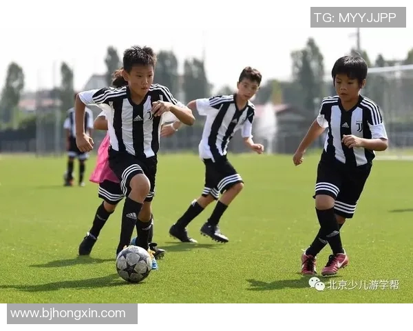 足球职业生涯全景解析 从青训到巅峰成就的成长历程与挑战